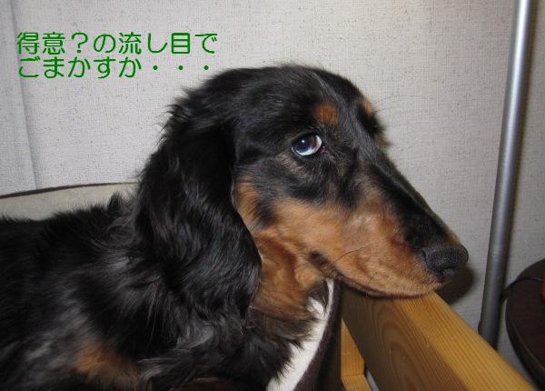 流し目【つんと】