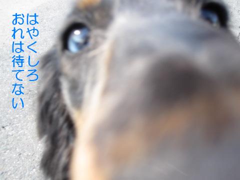 おいらは待てない