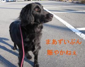 何ごとでしょう