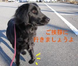 ご挨拶しなければ