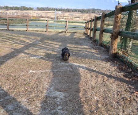 かっこいい？２