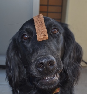 れんと＠双葉ＳＡ２