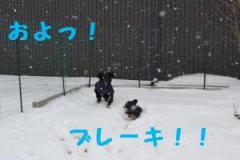 追いかけっこ２