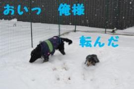 追いかけっこ３