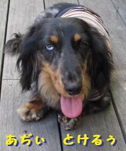 【つんと】暑い２