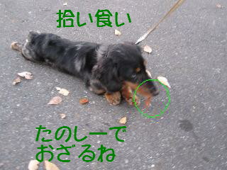 情けない抵抗２