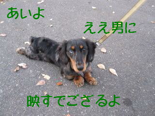 情けない抵抗３