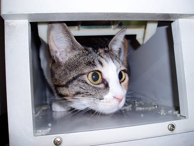 いいとこ、み～つけた！