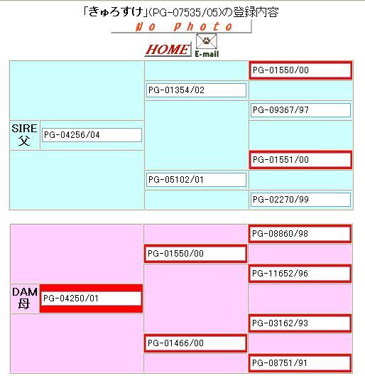 きゅろ血統.JPG