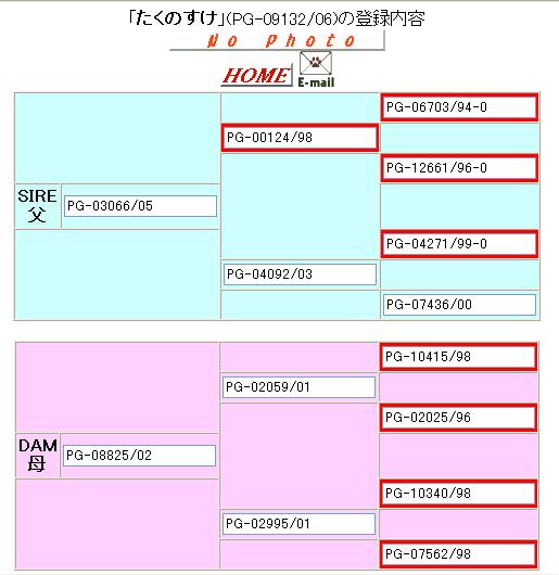 たく血統.JPG