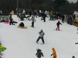 20071118Ｙｅｔｉ６.JPG