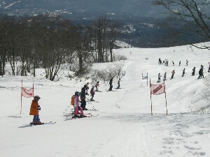 池の平レース４.JPG