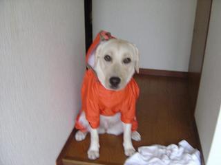 蘭子さん合羽姿１