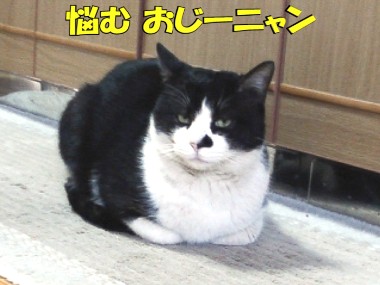 001.jpg