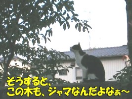 013.jpg