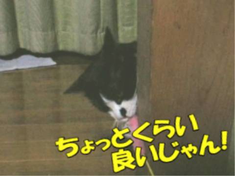 004.jpg