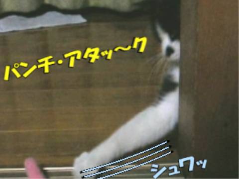 005.jpg