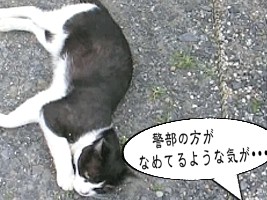 011.jpg