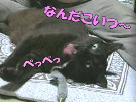 009.jpg
