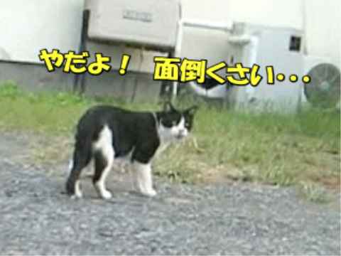 006.jpg