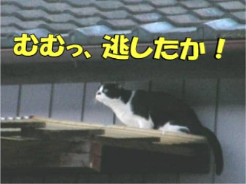 008.jpg