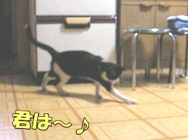 004.jpg
