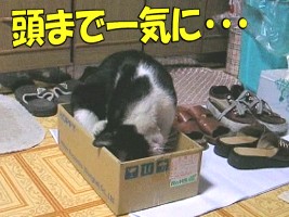 011.jpg