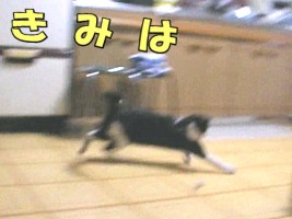 008.jpg