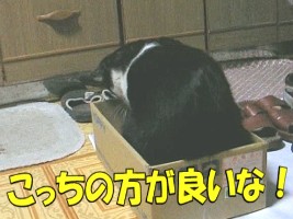 013.jpg