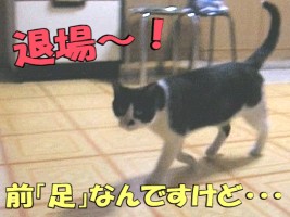 012.jpg