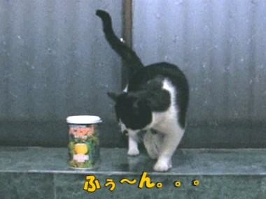 109.jpg