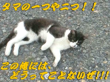 008.jpg