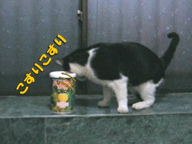 113.jpg