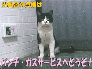 116.jpg