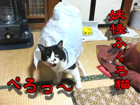 001.jpg