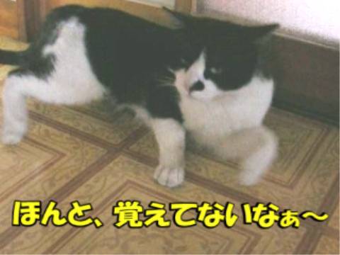 011.jpg