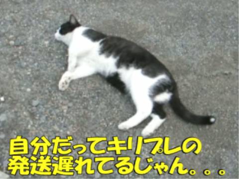 012.jpg