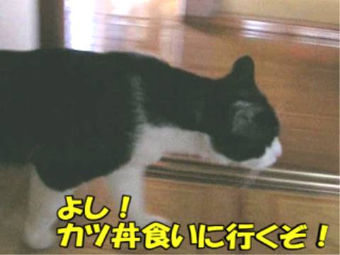012.jpg