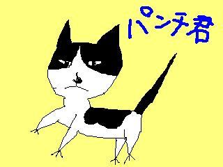 パンチ君.JPG