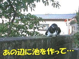 002.jpg