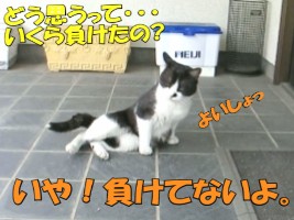 009.jpg