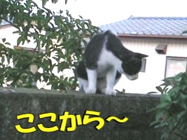 004.jpg