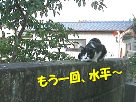 006.jpg