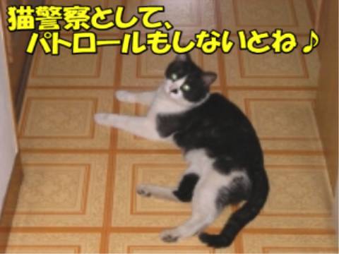 004.jpg