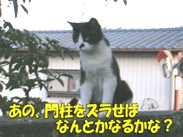 010.jpg