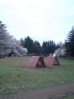 野川公園