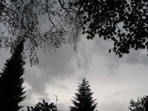 はじまりはいつも雨だってアイツよく言ってたっけ。