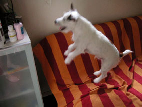 jump2