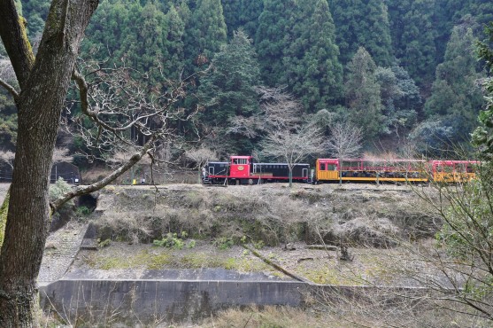 トロッコ列車って派手.jpg