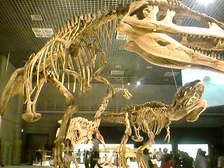 恐竜展.jpg